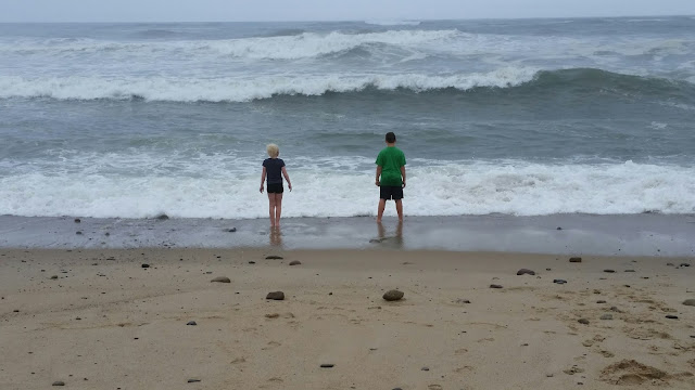 Wordless Wednesday:  Cape Cod 2015 Pictures --Marconi Beach -- How Did I Get Here? My Amazing Genealogy Journey