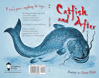 Catfish and After by Gene Hult from Brighten Press