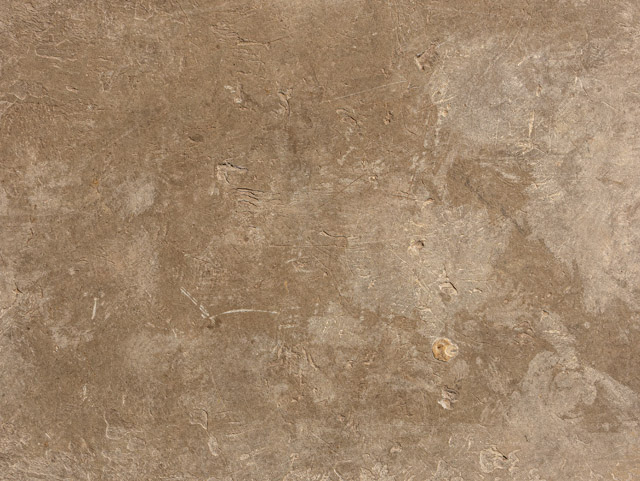 Stone flat grey texture