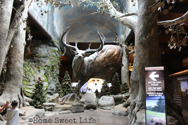 Wonders of Wildlife, Johnny Morris, Wildlife Galleries, Springfield MO, road trip, family trip, Bass Pro Shops, Bronze Buck