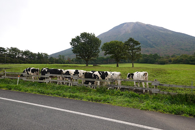 鳥取県西伯郡伯耆町小林　大山放牧場