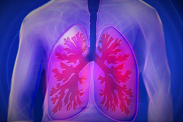 How to keep Your lungs healthy