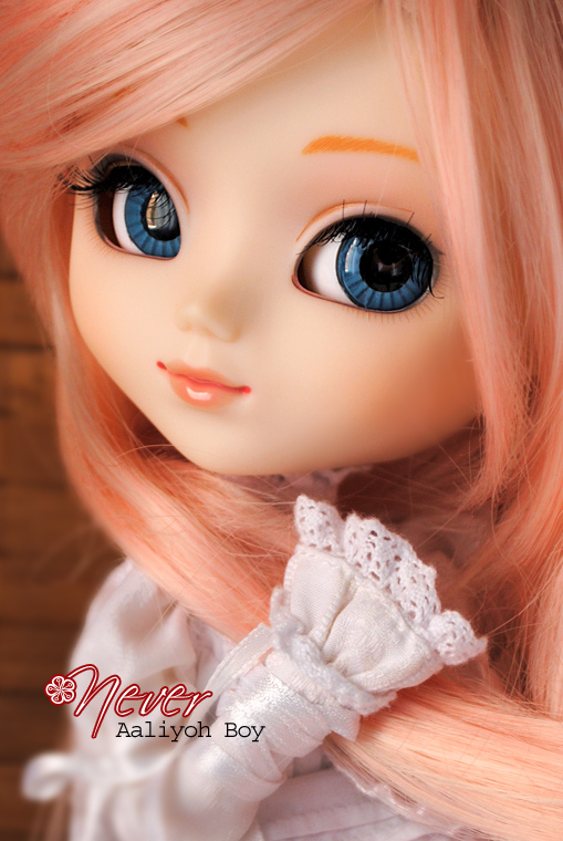 Anything in here :): cute pullip dolls