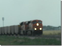 DSCN2629