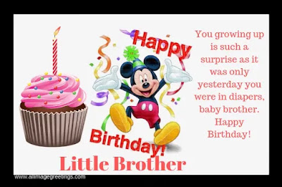 birthday wishes for little brother