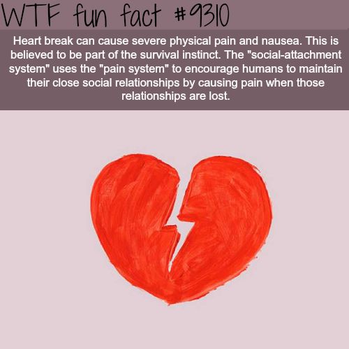 Amazing Interesting Random Facts