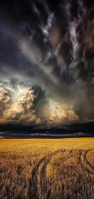 Thunderstorm Clouds Over Wheat Field Wallpaper for iPhone