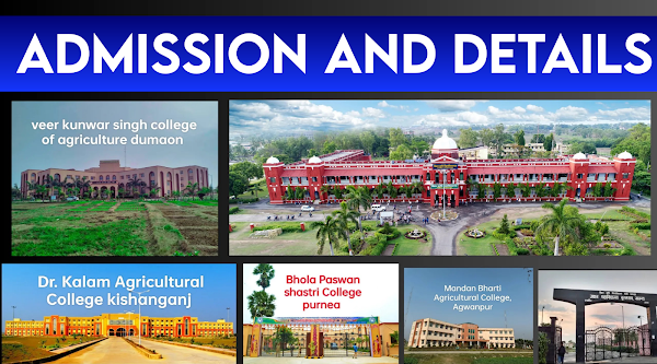BCECE 2023: full information for admission with all details 