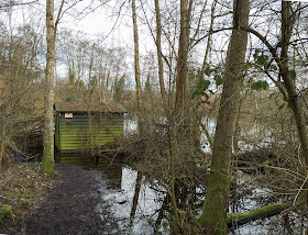 The watery John Carter hide.  Sevenoaks Wildlife Reserve, 22 February 2014.