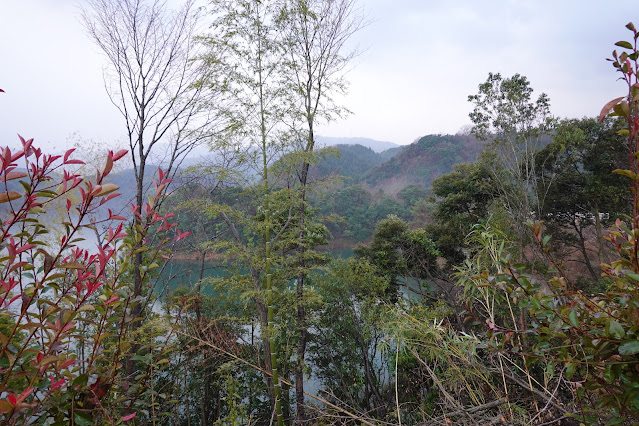 鳥取県西伯郡南部町下中谷 緑水湖