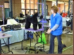 Springfield IL-Dog Show