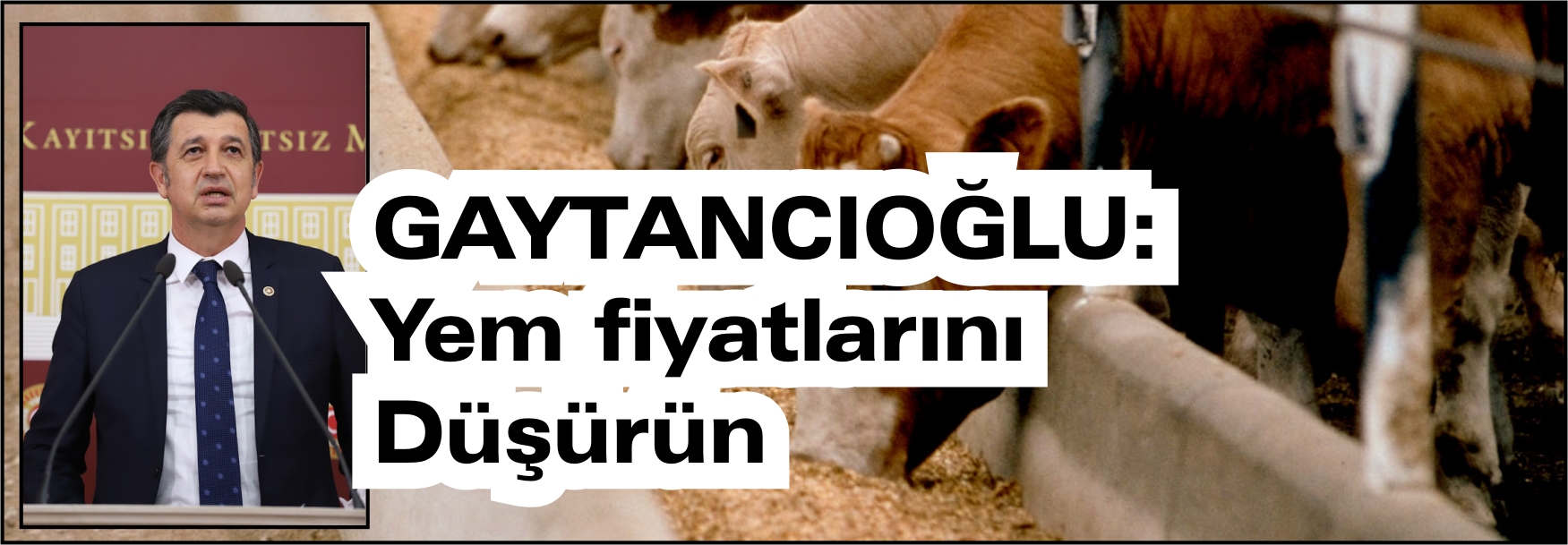 GAYTANCIOĞLU HÜKÜMETE SESLENDİ YEM FİYATLARINI DÜŞÜRÜN 