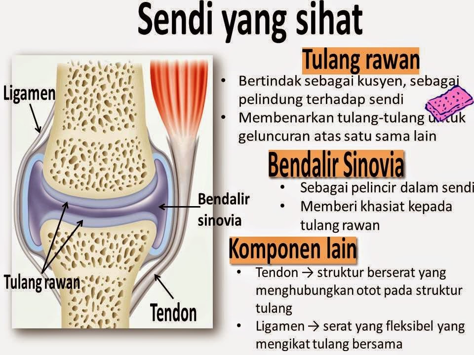 Ubat Sakit Sendi & Sakit Lutut Yang Dijamin Berkesan 