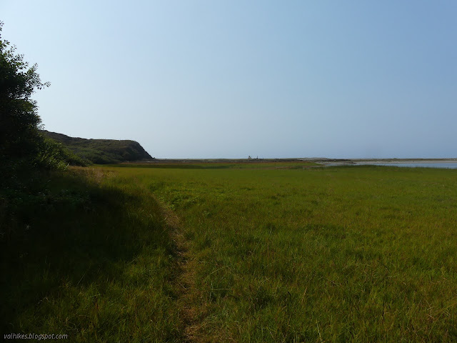 large stretch of grass