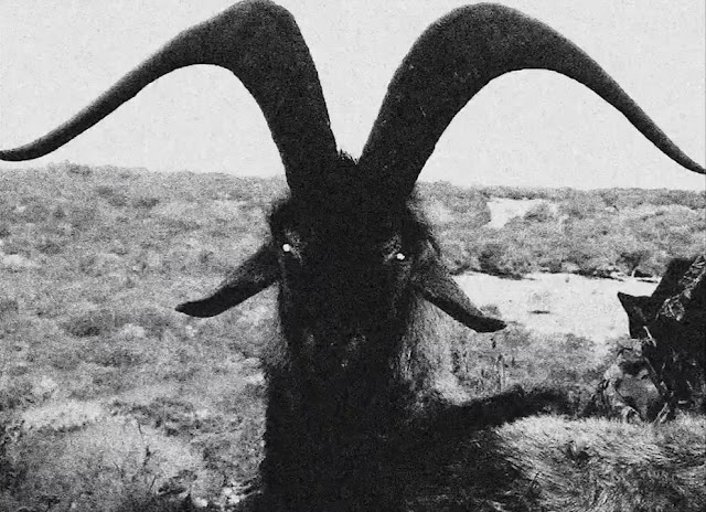 'OPERA MORTEM': 666 còpies en DVD de la pel·lícula satànica de 1973