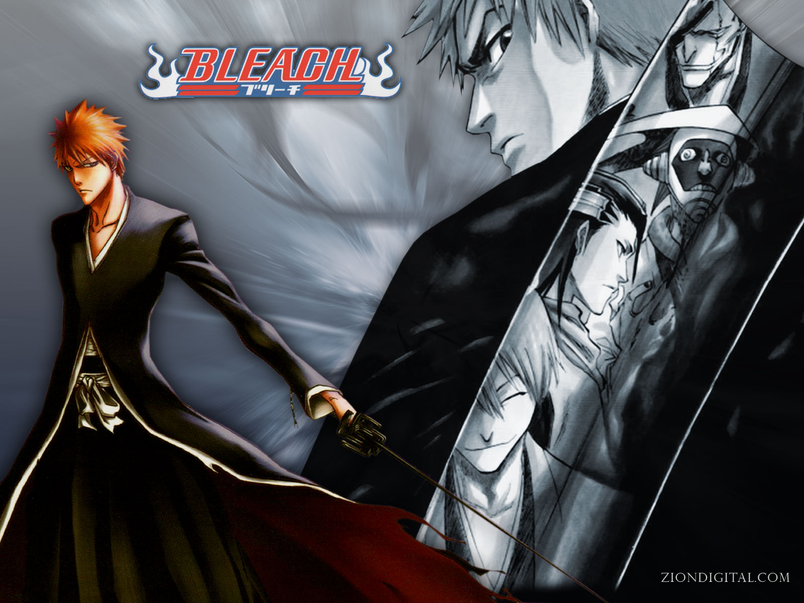 Anime Cartoon 2014: Bleach Anime