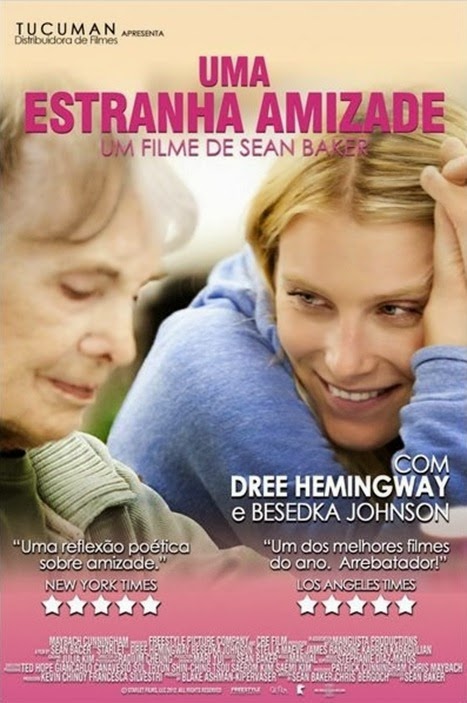 1estranhaamizade_posterbr