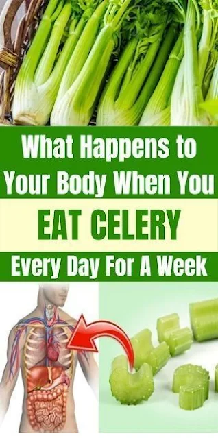 It Takes Only 7 Days To Significantly Improve Your Overall Health, Just By Eating Celery