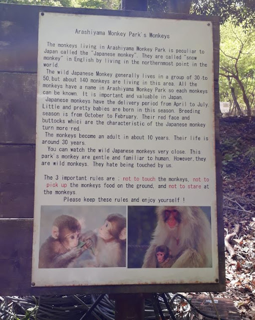 Arashiyama Monkey Park Kyoto Sign