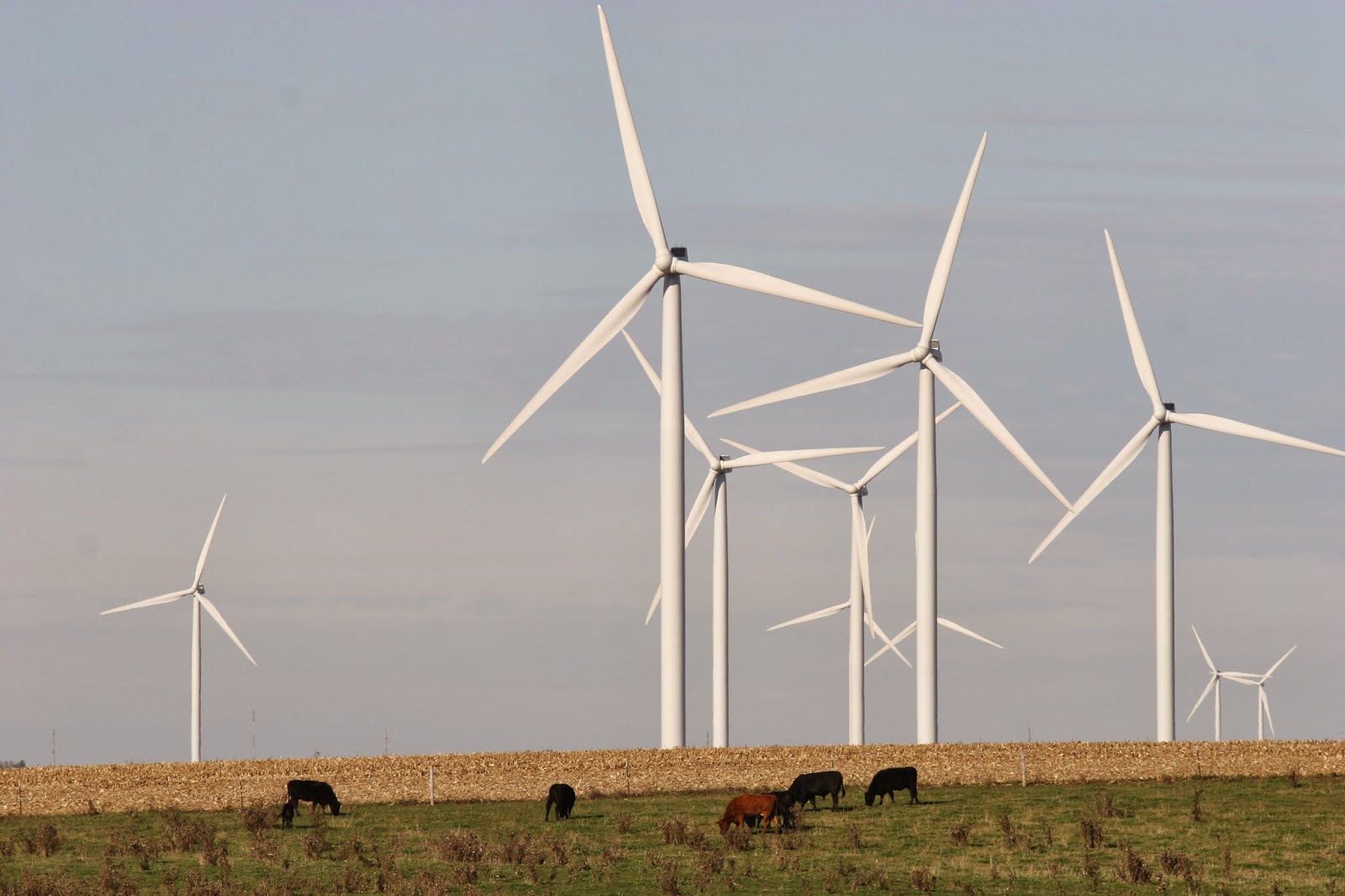 Interesting energy facts: Wind energy development, effects 