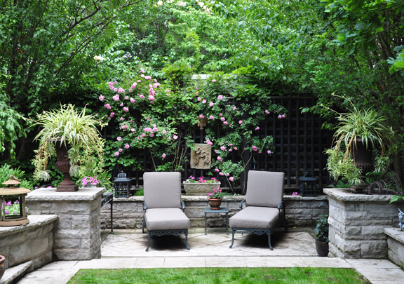 Small Backyard Garden