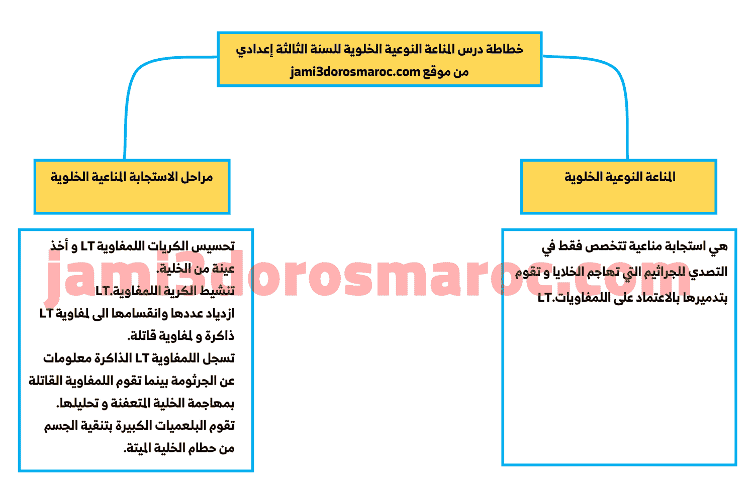 خطاطة درس المناعة النوعية الخلوية للسنة الثالثة اعدادي