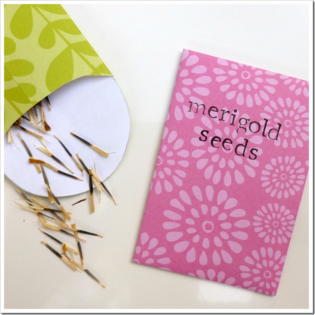 seed packet