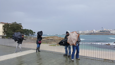 Wind and rain are natural predators of umbrellas