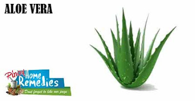 Home Remedies To Abbreviate Pimple Redness: Aloe Vera