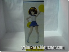 DSCN0965