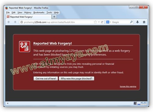  Gambar: Contoh peringatan web forgery (palsu/penipuan)