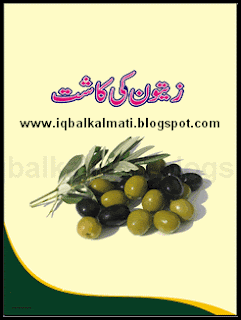 Zaitoon  (Cultivation Olive) Ki Kasht