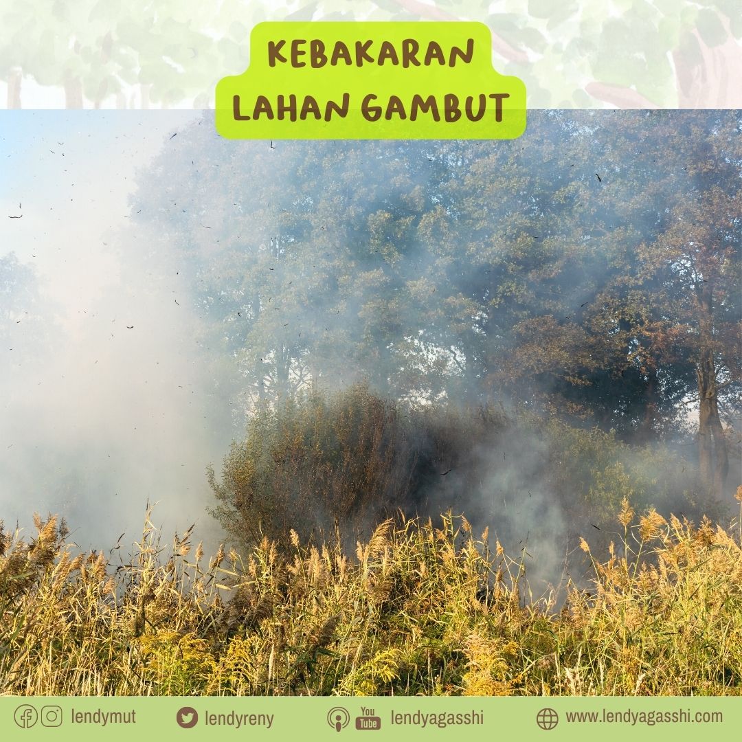 Bagaimana kebakaran lahan gambut bisa terjadi?