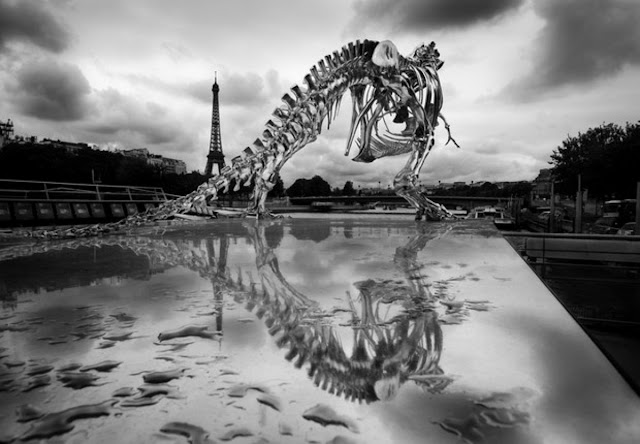 Динозавр на берегу Сены в Париже. Филиппе Паскуа (Philippe Pasqua)