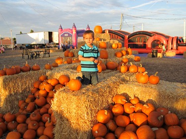 nate in pumpkin patch (1 of 1)
