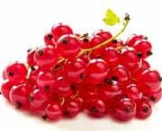 redcurrant