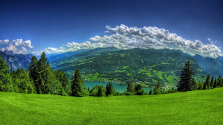 Green Nature wallpaper