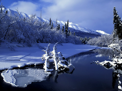 eagle wallpaper. Eagle River Winter wallpaper,