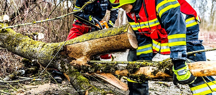 Storm damaged fallen tree emergency removal