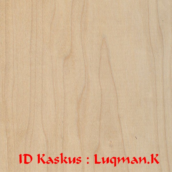 Eksport Import Wood Jual kayu  Hard Maple 