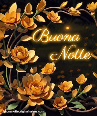 buonanotte estiva