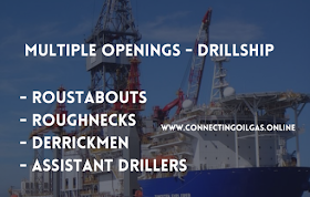  MULTIPLE OPENINGS - DRILLSHIP