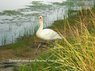 The Nature Conservancy South Cape May Meadows