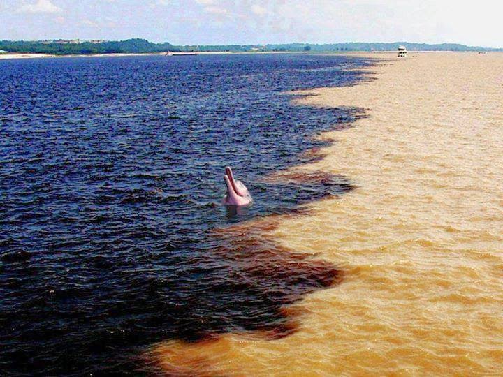 The Confluence of the Amazon River and the Rio Negro in Brazil - Here Are 12 Points In The World Where Major Bodies Of Water Join Together… And They're So Awesome