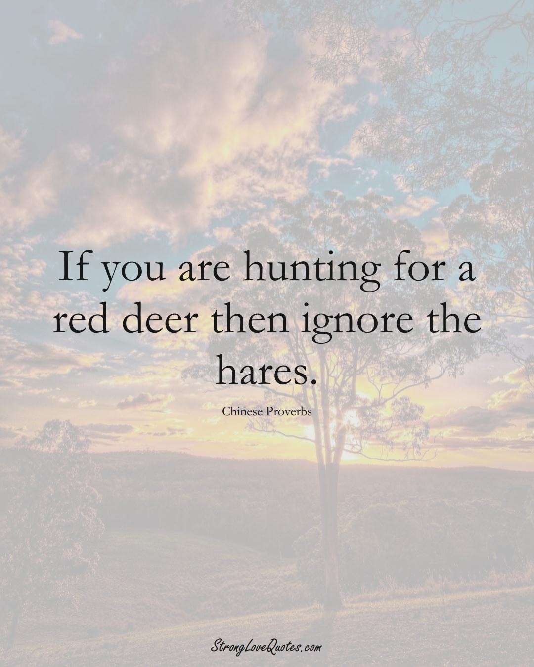 If you are hunting for a red deer then ignore the hares. (Chinese Sayings);  #AsianSayings