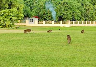 69 tempat nongkrong di palembang yang asik terbaru dan kekinian