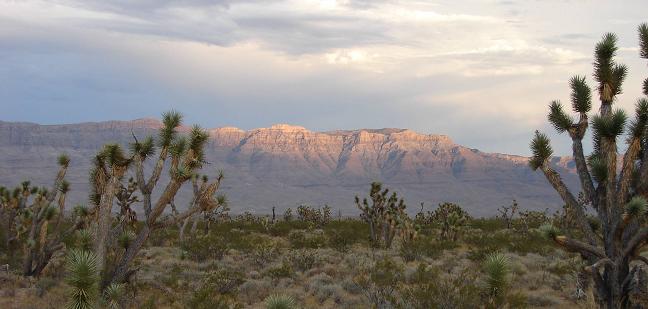 Meadview Az