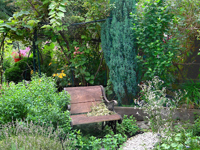 Wooden chair in the woods