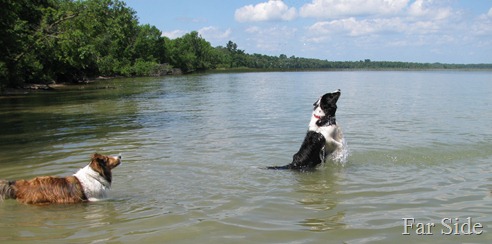 Miney and Chance Cass Lake July 22