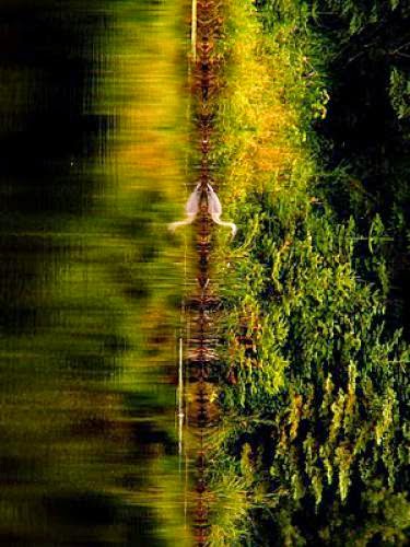 Magic In Harry Potter Portals Of Beauty Reflection Spells